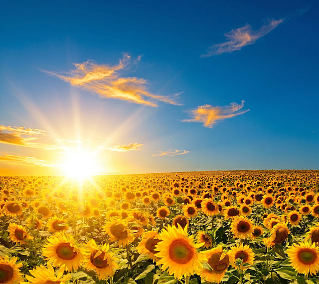 让阳光变的更强，天空改为湖蓝