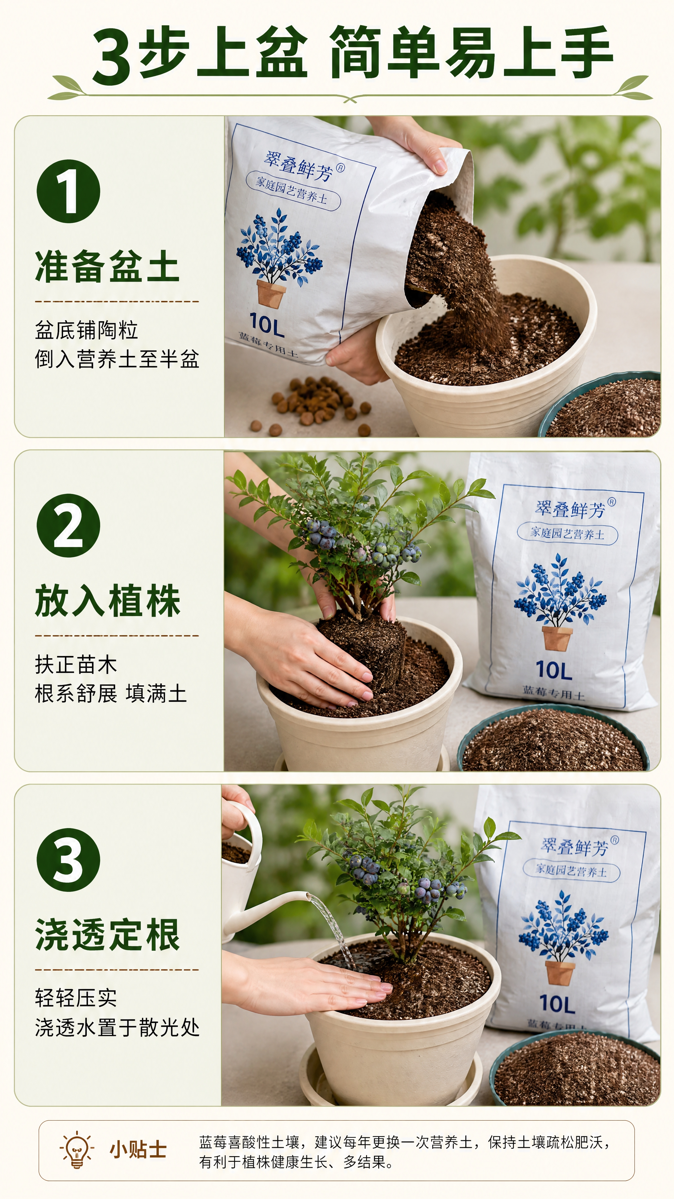 [商品] 使用【图3】翠叠鲜芳蓝莓专用营养土包装袋与【图1】土… - 图片创意预览