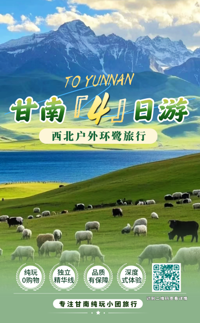 旅游团服务介绍宣传海报预览效果