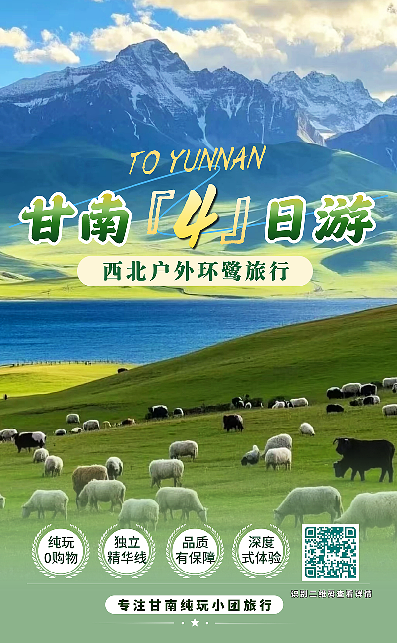 旅游团服务介绍宣传海报