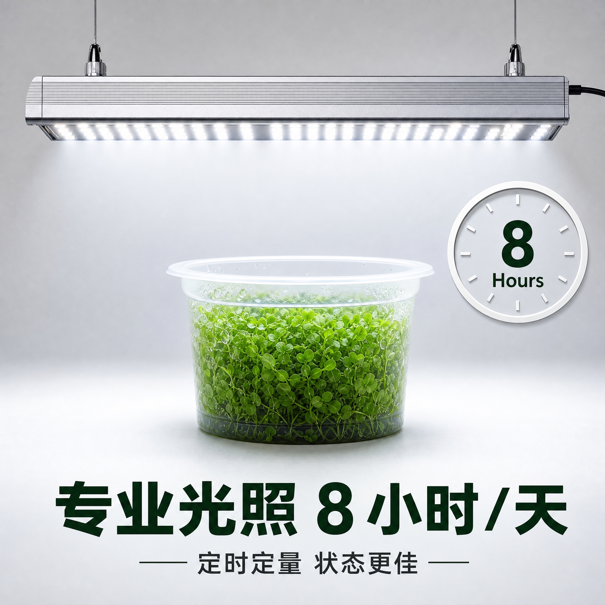 [主图-7] 主题：现代水族 LED 灯具 + 8 小时光照时… - 图片创意预览