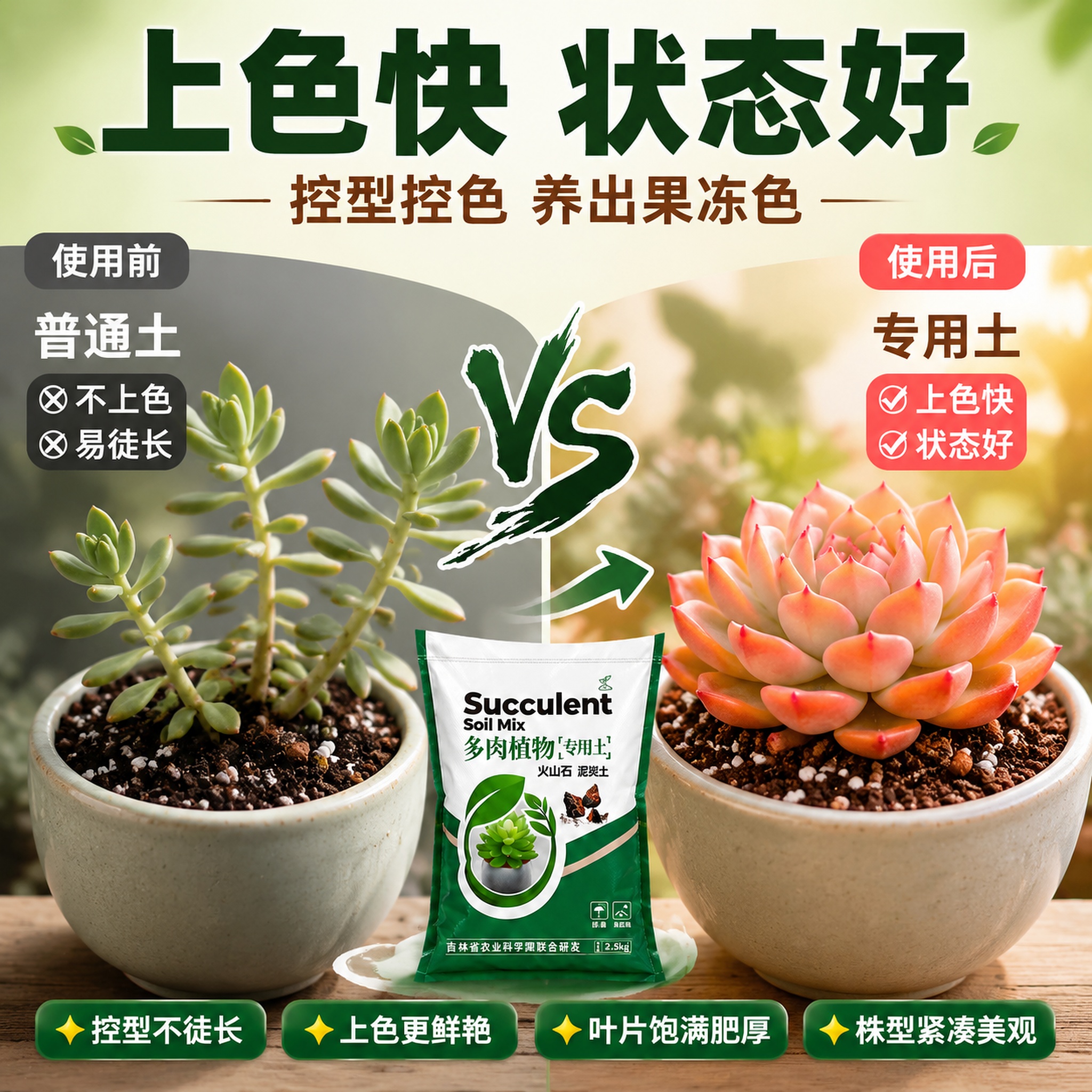 [主图-8] 效果对比上色出状态图主图。 [氛围风格] 拼多多… - 图片创意预览