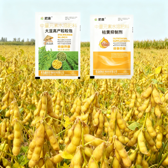 丰收展示图，成片大豆田饱满黄豆果实，搭配产品包装，突出大豆高产效果，农田丰收背景预览效果