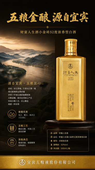 [第2屏] 品牌与产地展示，财富人生酒小金砖52度浓香型白酒。本屏使用【图5】作为产品主体参考
[氛围/风格] 沉稳大气品质风，高端白酒视觉质感，实景产地氛围
[元素布局] 左侧放置宜宾酒产地山水意境预览效果
