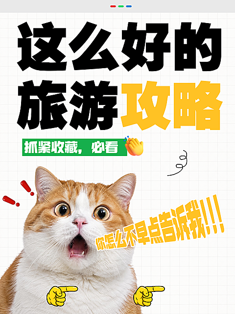 萌宠猫咪旅游科普大字风海报。画面是一只表情夸张的橘猫，配合醒目的旅游主题文字，适合用于旅游知识分享或宠物趣味内容的单页宣传设计。