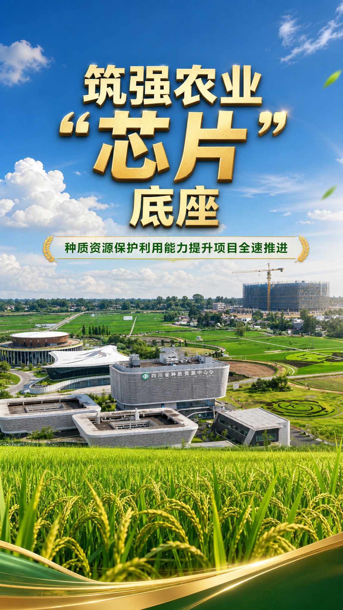 竖屏封面海报设计，农业种业主题。画面以广袤的绿色稻田和种质资源… - 图片创意预览