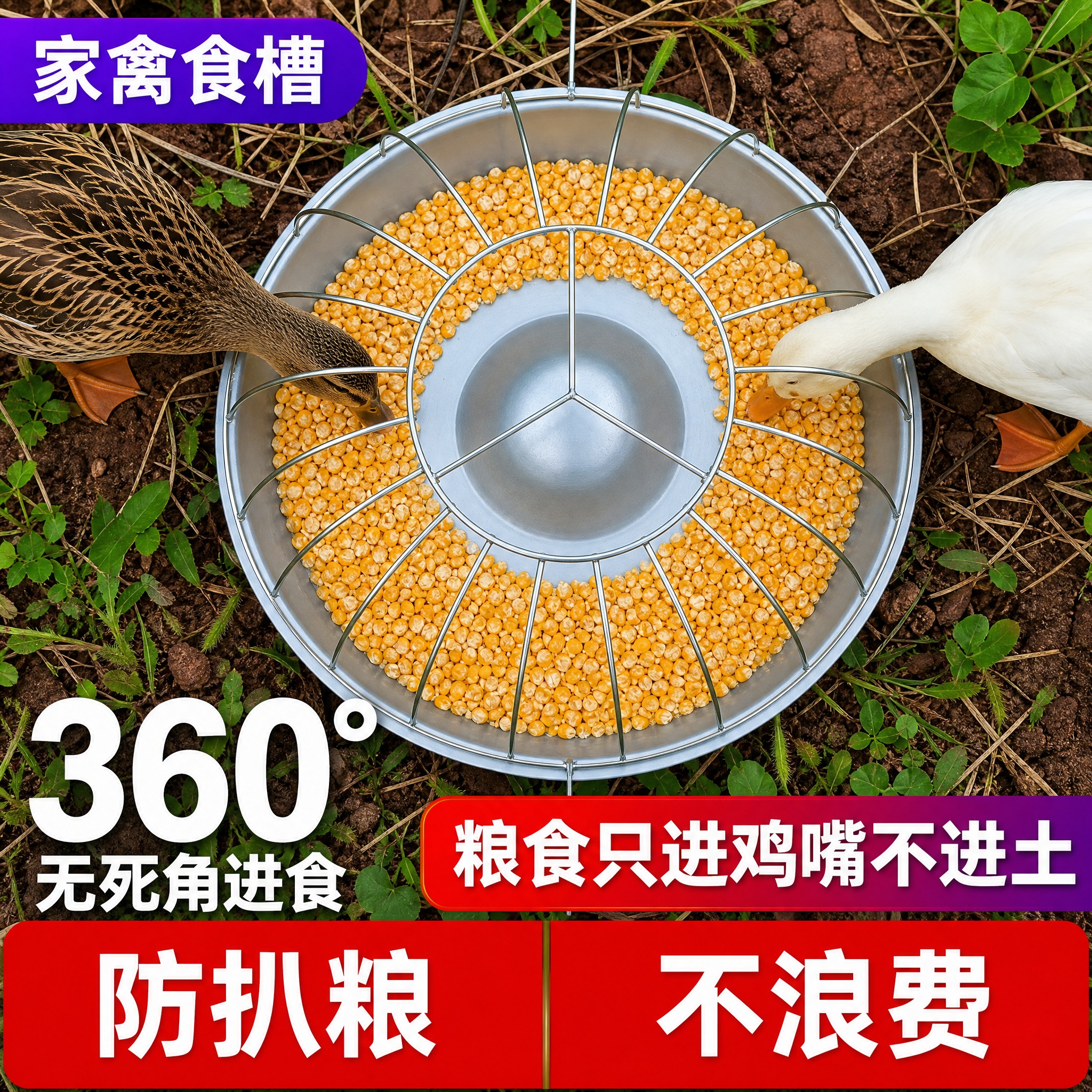 [主图-5] 功能卖点 主题：360°无死角进食 粮食只进鸡嘴… - 图片创意预览