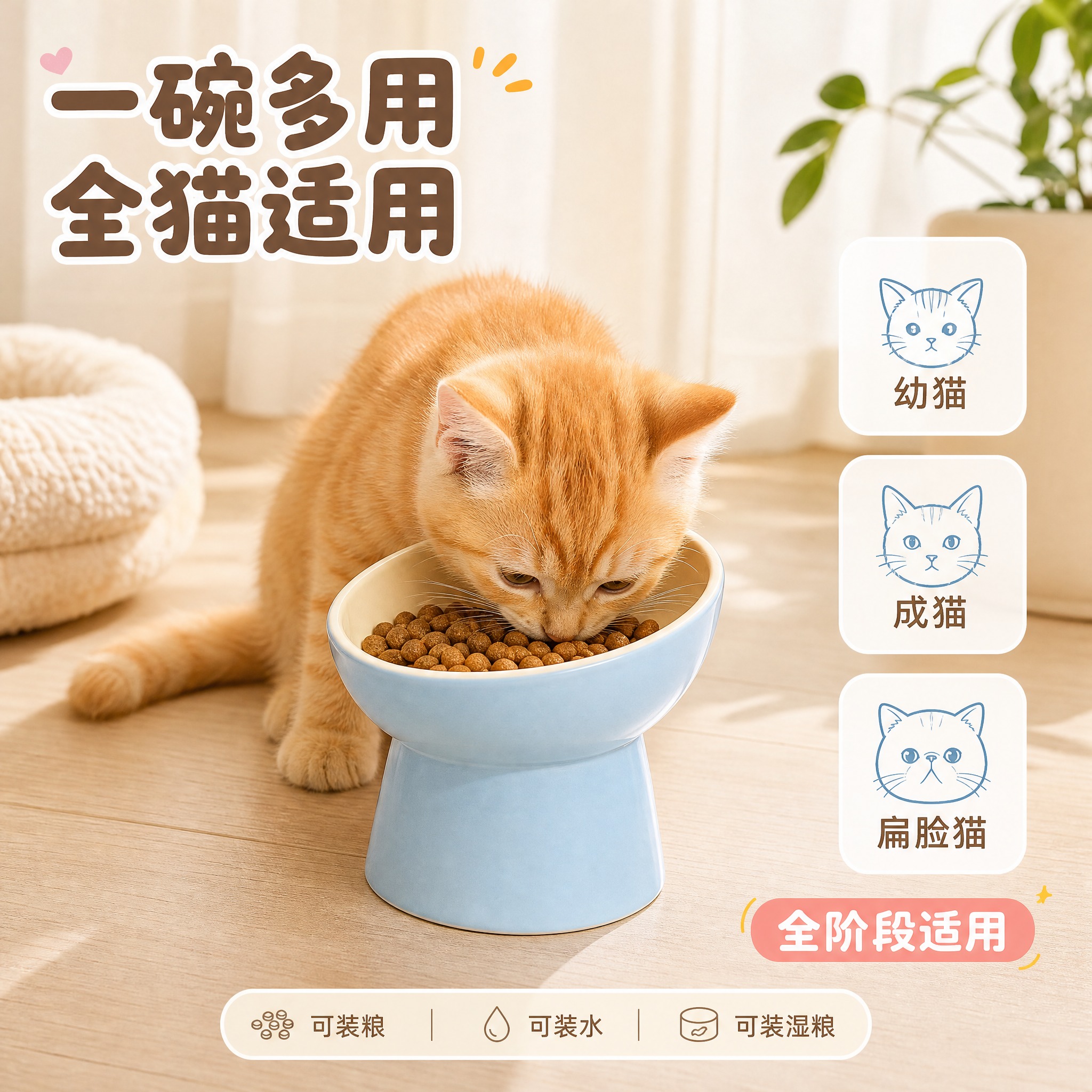 [主图-4] 陶瓷斜口护颈高脚猫碗 场景与适配 多猫种适用 多… - 图片创意预览