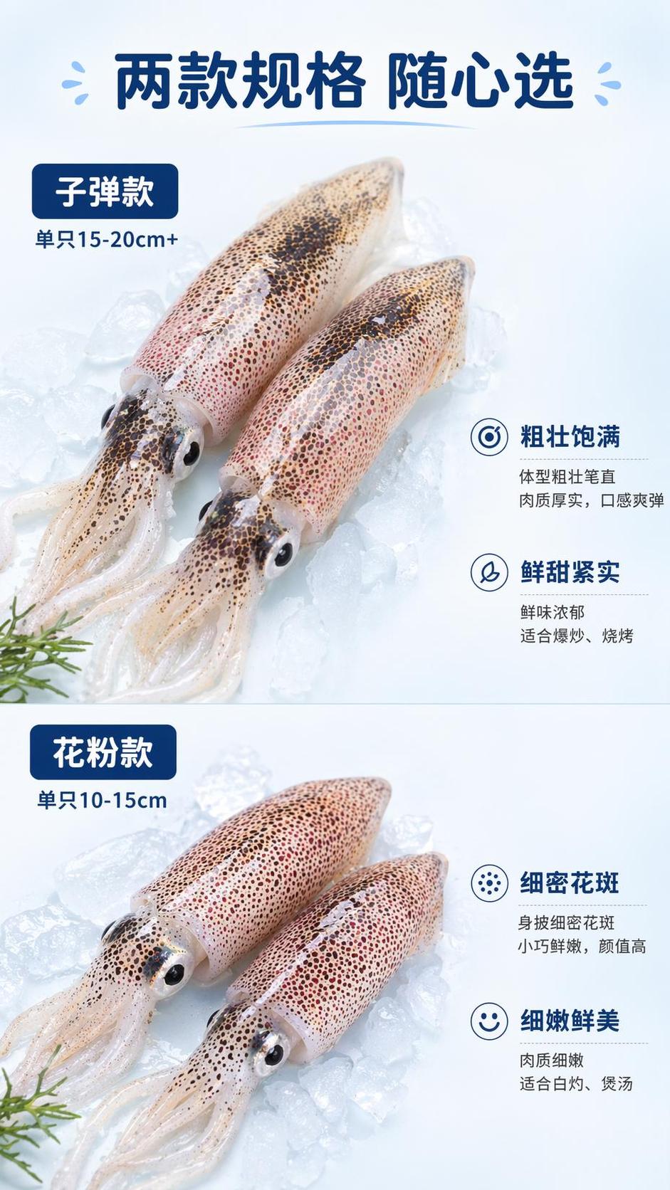 [第4屏] 双规格总览对比页，船冻小管花粉和子弹两款规格展示。… - 图片创意预览