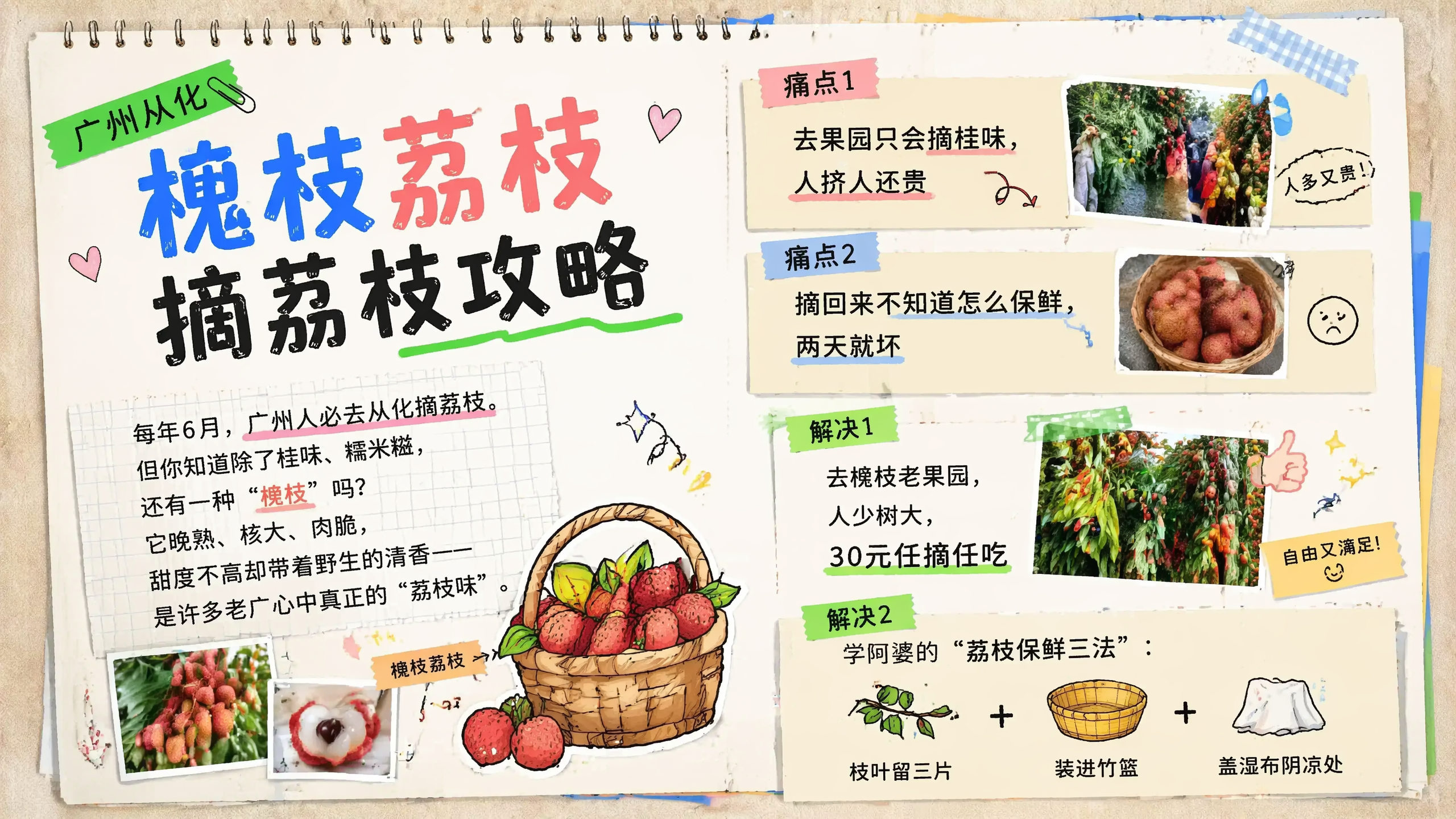 参考手账便签拼贴风格，生成广州从化槐枝荔枝摘荔枝攻略图文，包含… - 图片创意预览