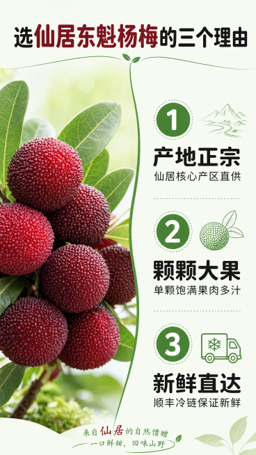 「图片1」预览效果
