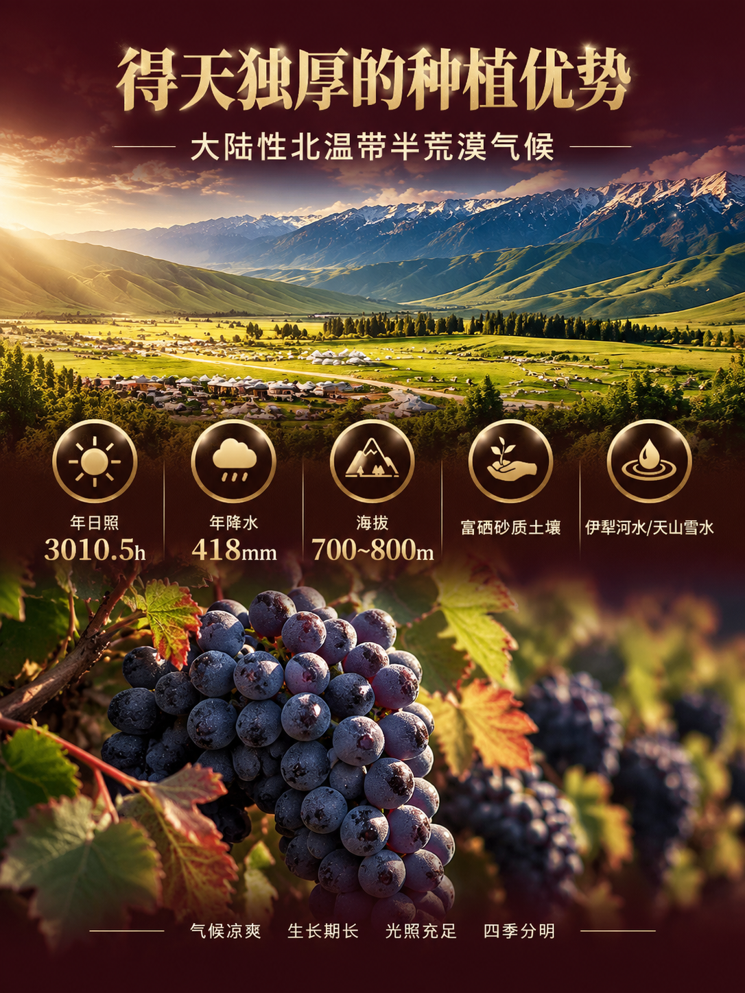[商品] 使用【图5】伊犁河谷自然风光图和【图4】葡萄果实图；… - 图片创意预览