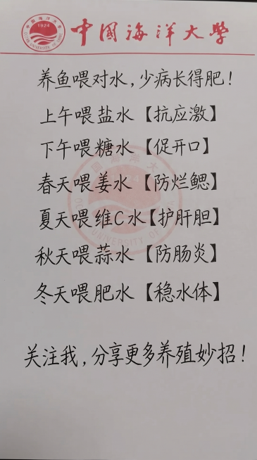 手写字体的纸张背景，参照示例图片的手写风格和字体颜色，一字不差替换内容为：养鱼喂对水，少病长得肥！上午喂盐水【抗应激】下午喂糖水【促开口】春天喂姜水【防烂鳃】夏天喂维C 水【护肝胆】秋天喂蒜水【防肠炎预览效果