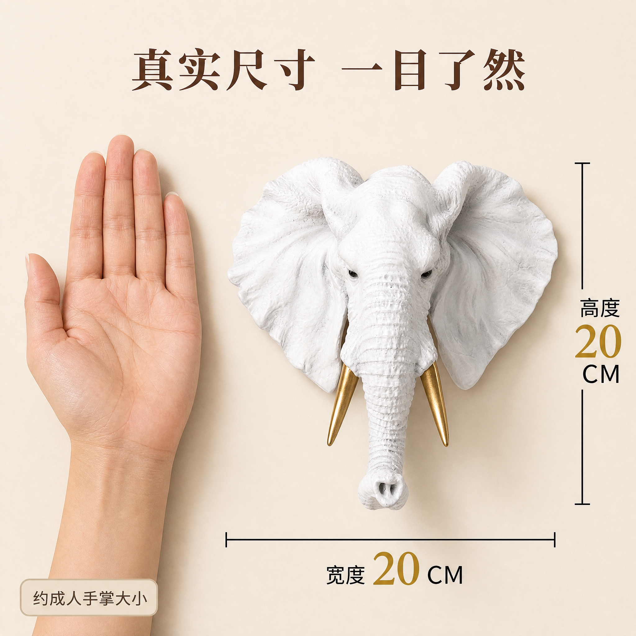 [主图-5] 尺寸信息图，展示大象挂钩的实际大小，与成人手掌对… - 图片创意预览