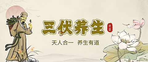 中国风三伏天健康养生宣传中式感公众号首图