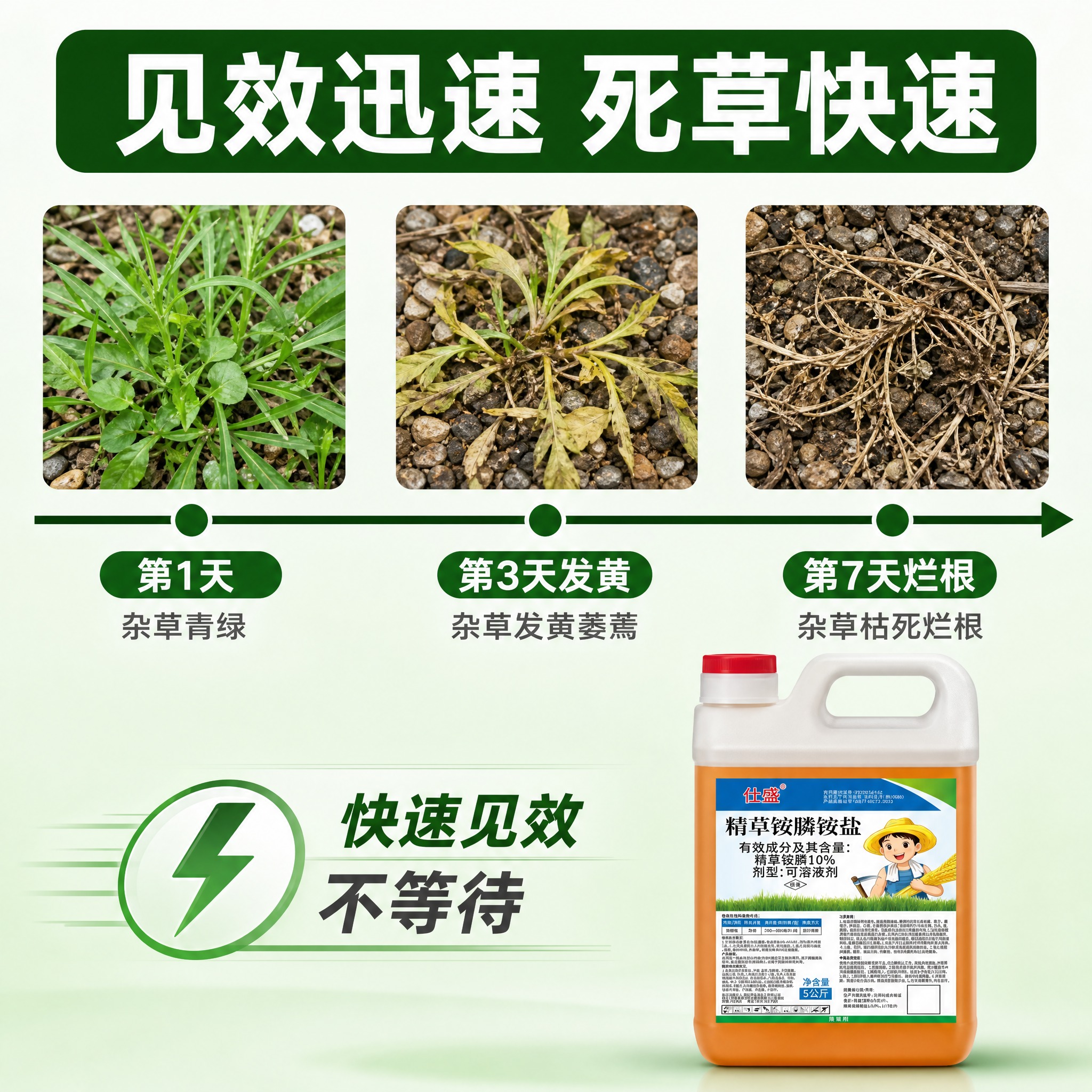 [主图-3] 见效迅速效果证明，时间轴展示。 [统一基调] 京… - 图片创意预览