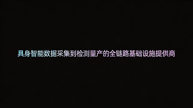 干净的纯黑色背景。平面艺术字体设计，主体文字"具身智能数据采集到检测量产的全链路基础设施提供商"，所有文字单行横向排列，渐变色艺术字，简约现代科技风格，无衬线字体，几何化处理，线条流畅简约，字体采用蓝紫渐变色彩，整体干净简洁，文字结构清晰可识别。仅包含上述文字，不得增加、遗漏或替换任何一个字。文字整体必须完整呈现在画面内不可被裁切，四周留有安全边距。