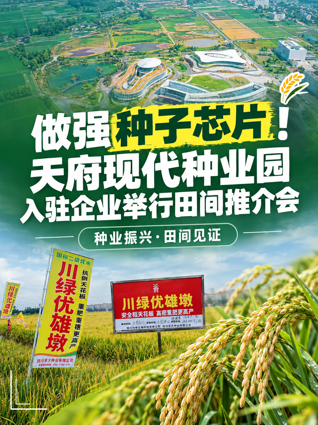 小红书笔记大字封面，配图大字，杂志海报风，版式精美，小红书笔记… - 图片创意预览