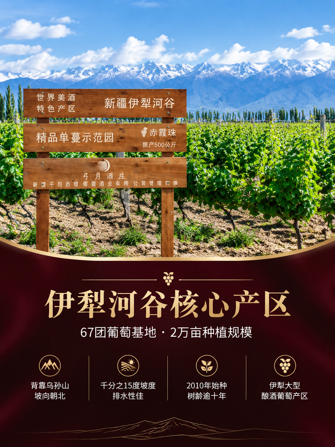 [商品] 使用【图3】弓月酒庄伊犁河谷产区葡萄园实景图；保留木… - 图片创意预览