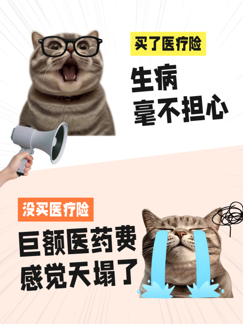 医疗险保险科普干货萌宠表情包对比风小红书封面图预览效果