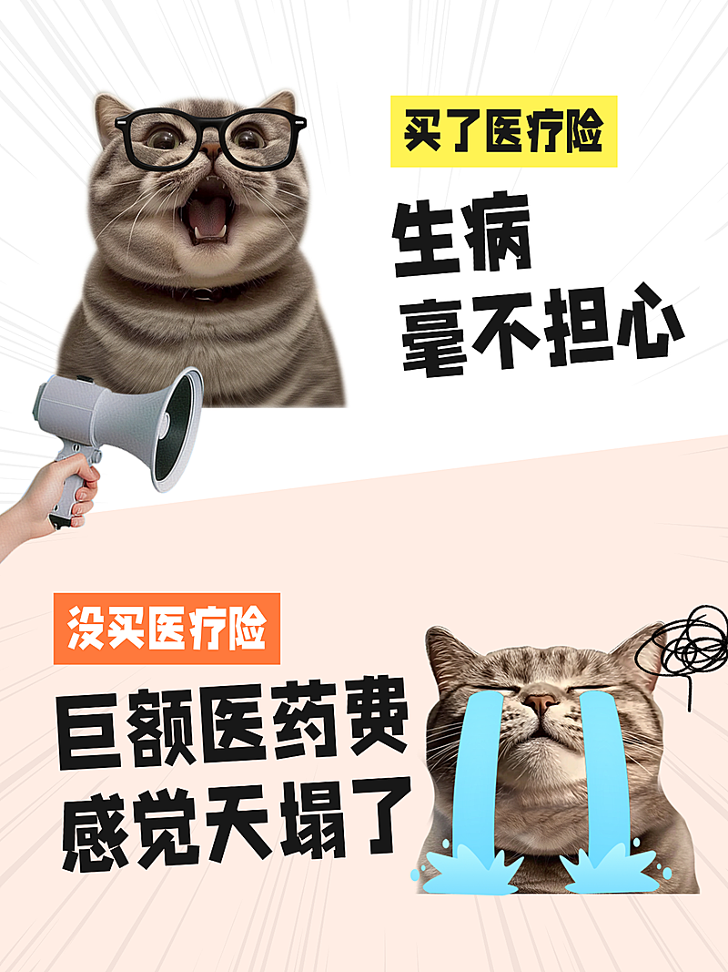 医疗险保险科普干货萌宠表情包对比风小红书封面图