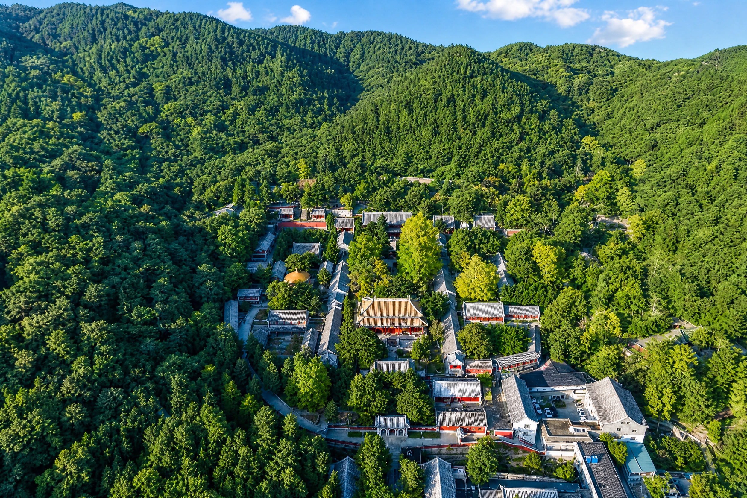 基于这张图片修改：1. 整体画面变得更加清晰锐利，细节丰富，建… - 图片创意预览