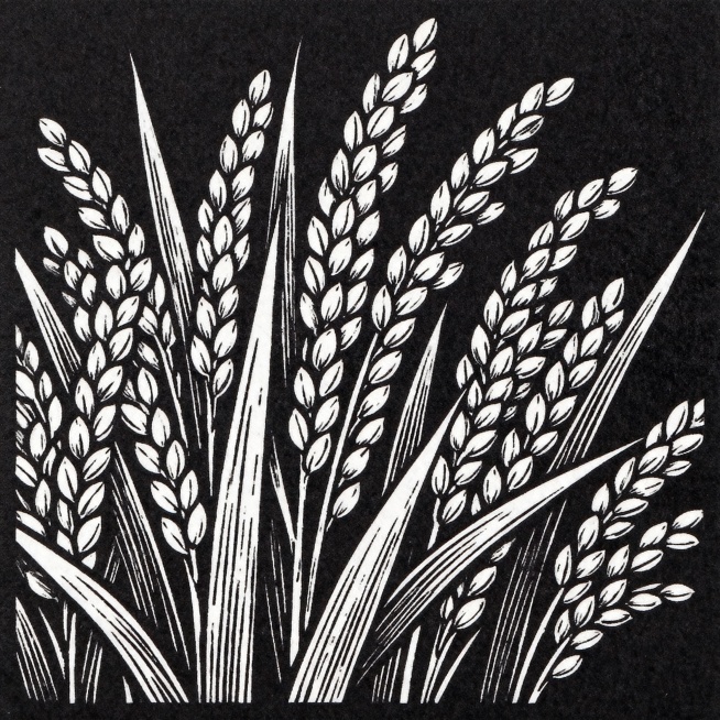 继续生成预览效果