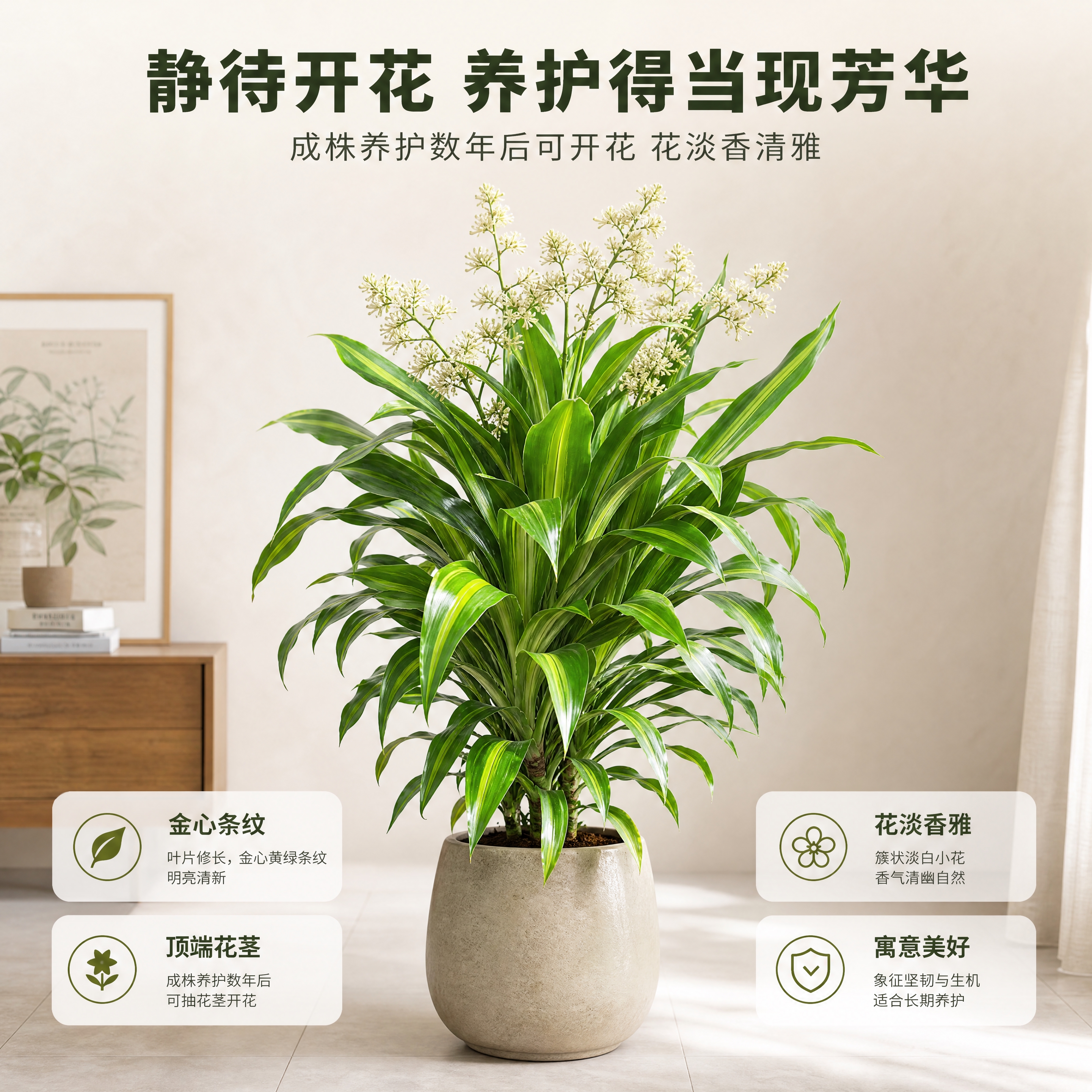 [商品] 基于【图1】【图2】【图3】中金心也门铁的叶片形态和… - 图片创意预览