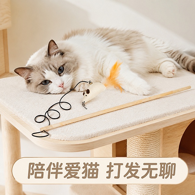 「图片1」，生成主图（6张），适配淘宝/天猫平台，比例为1:1，自动生成商品名称、卖点。
