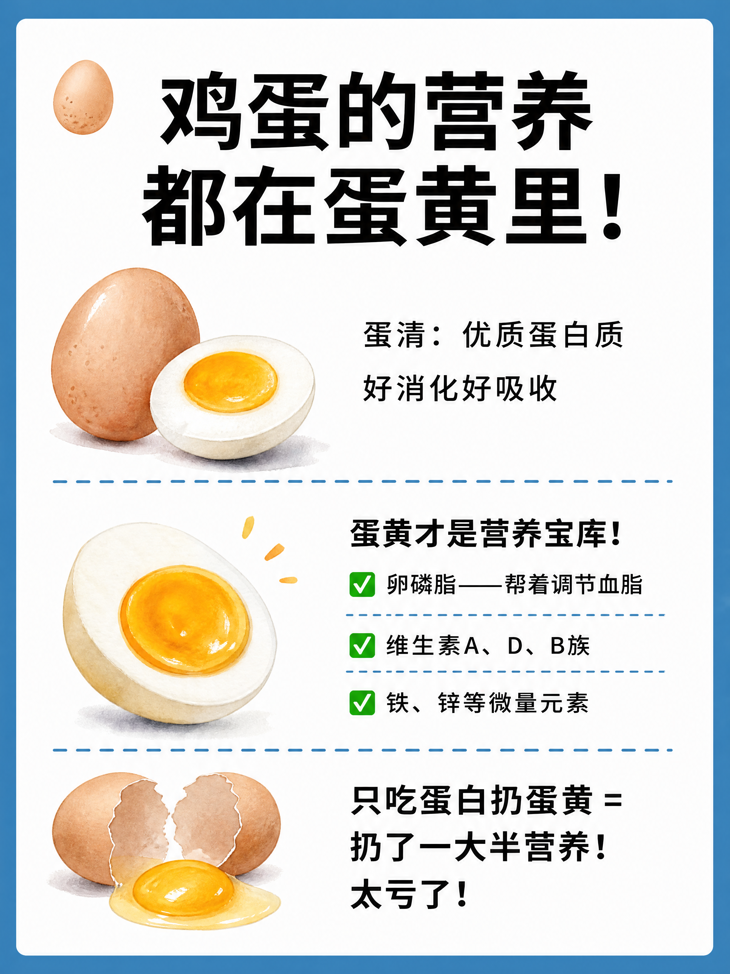 小红书科普图文内页，插图大字，ins清新科普风，版式精美，小红… - 图片创意预览