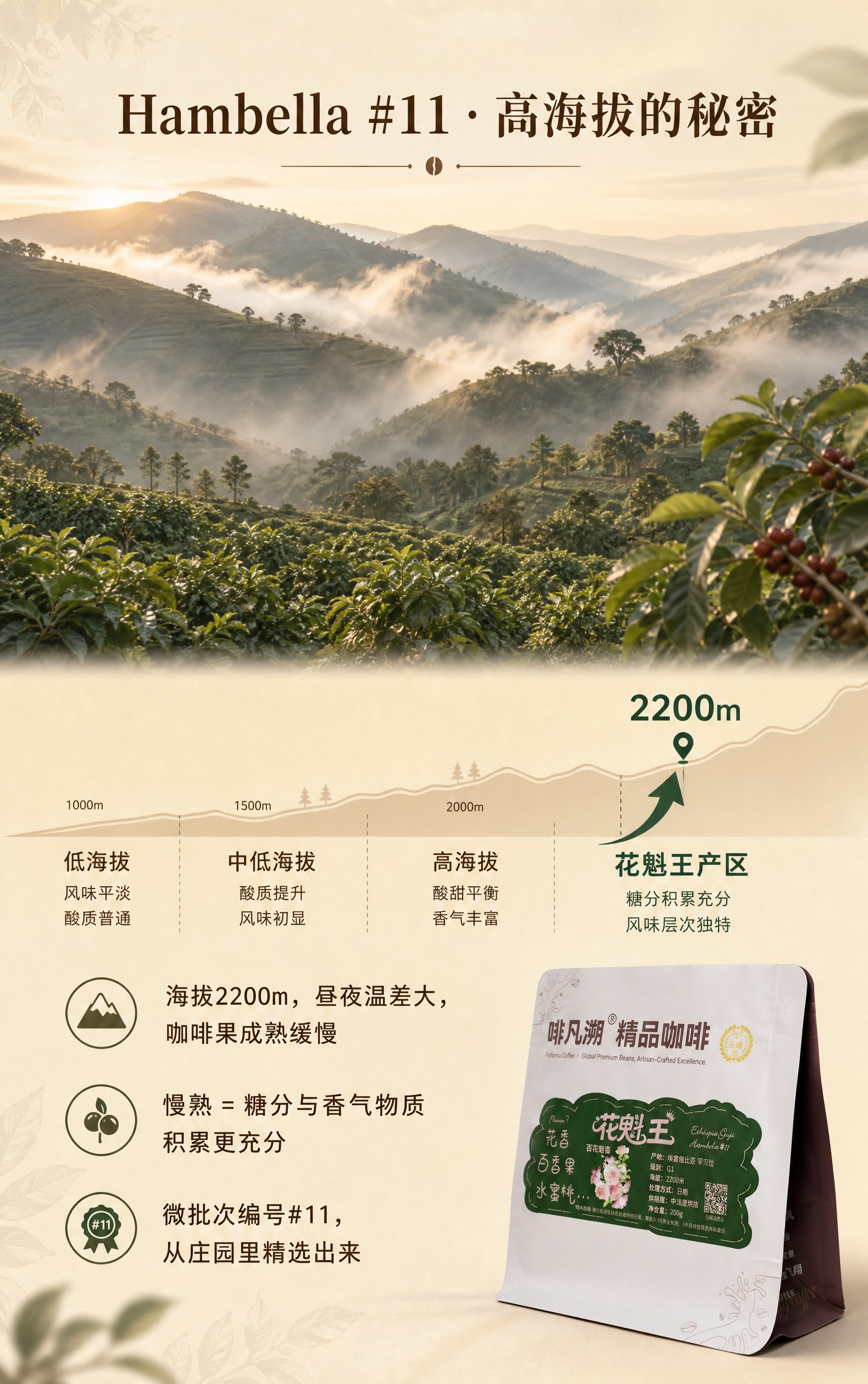 基于【图1】啡凡溯花魁王精品咖啡豆白色哑光铝箔自立袋，保留袋身… - 图片创意预览