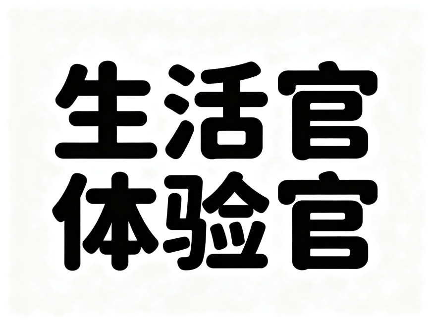 干净的纯白色背景。平面艺术字体设计"生活体验官"，5个字整体字形灵动活泼，富有创意设计感，圆角处理的无衬线风格字体，结构平衡清晰易识别，黑色哑光质感。仅包含5个字："生"、"活"、"体"、"验"、"官预览效果