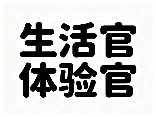 干净的纯白色背景。平面艺术字体设计"生活体验官"，5个字整体字形灵动活泼，富有创意设计感，圆角处理的无衬线风格字体，结构平衡清晰易识别，黑色哑光质感。仅包含5个字："生"、"活"、"体"、"验"、"官"，不得增加、遗漏或替换任何一个字。文字整体必须完整呈现在画面内不可被裁切，四周留有安全边距。比例4:3