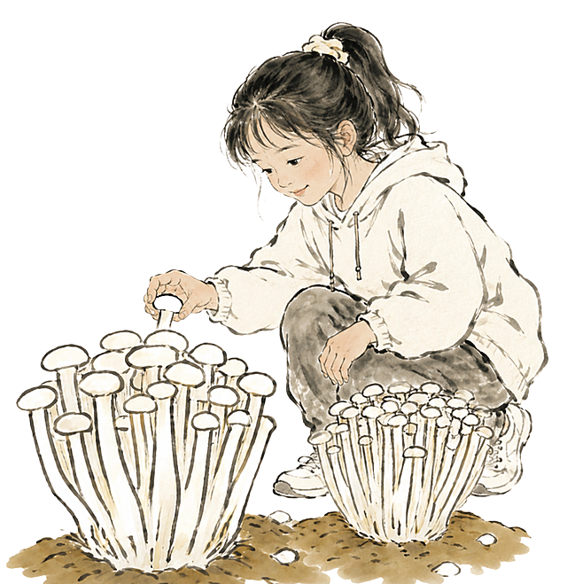将图中老人换成现代小女孩，保留原水墨国画风格，保留采摘金针菇的动作和场景