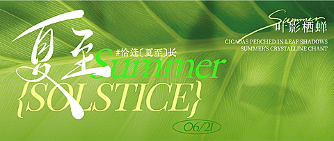 夏至节气光影感荷叶剪影通用节气祝福公众号首图