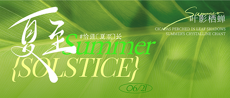 夏至节气光影感荷叶剪影通用节气祝福公众号首图