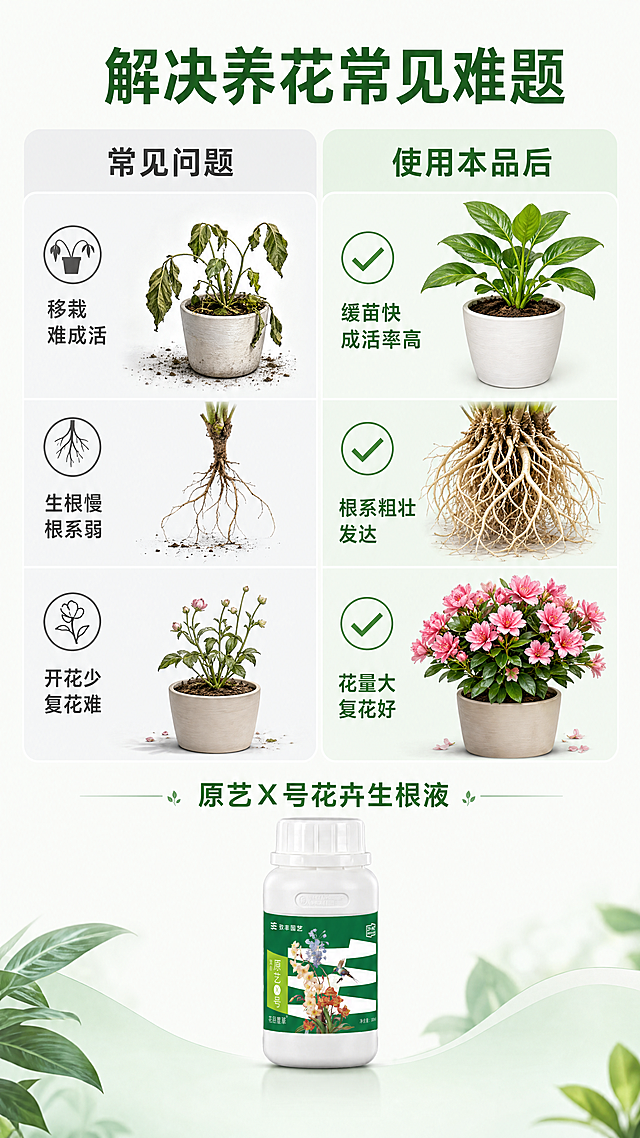 [第2屏] 养花常见问题痛点与本产品解决效果对比图。本屏使用图1作为产品参考。
[氛围/风格] 清晰对比展示风，简洁专业，商业信息排版，对比分明。
[元素布局] 页面整体采用左右分栏对比布局，左侧为使用前痛点展示，右侧为使用本产品后效果展示。产品瓶子放在页面底部居中位置，占画面约20%高度。左右两部分各配3个小场景图说明，保持整体结构均衡，不拥挤。
[光影质感] 整体光线均匀明亮，对比图边界清晰，文字和图片都清晰展示，没有过暗过曝区域，符合移动端阅读。
[配色色系] 全局底色：#F8FCF6；左侧痛点区浅灰底#ECEFF1，右侧效果区浅绿底#E8F5E9；文字配色：痛点深灰#555555，效果深绿#2E7D32；产品保持原有白绿配色。
[视角构图] 上下结构，上方左右分栏对比，底部放产品，中心对称构图，适合移动端竖屏浏览。
[文字版式] 顶部大标题「解决养花常见难题」深绿色加粗居中。左栏标题「常见问题」深灰，三个痛点分别为：「移栽难成活」「生根慢根系弱」「开花少复花难」，每个痛点配小图标。右栏标题「使用本品后」深绿，三个解决结果：「缓苗快成活率高」「根系粗壮发达」「花量大复花好」，每个结果配对勾图标。底部产品上方标注「原艺X号花卉生根液」产品名，文字清晰不遮挡。
[比例分辨率] 9:16竖版比例，4K分辨率，文字清晰可辨，超高清。
[负向提示词] 布局混乱，对比不清晰，文字错乱，颜色过度夸张，产品变形，水印，模糊。