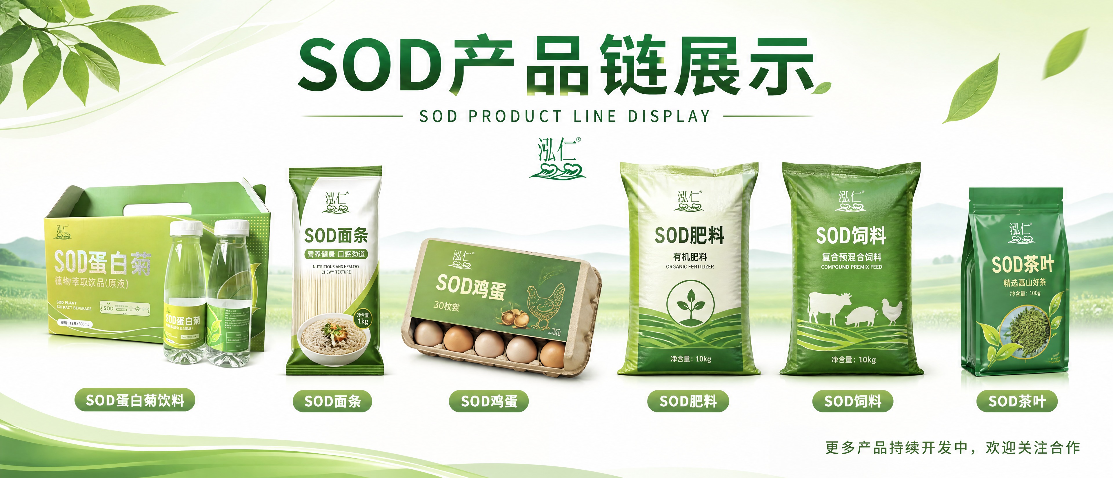 设计一幅SOD产品链展示长横幅，尺寸比例为高80cm x 宽4… - 图片创意预览