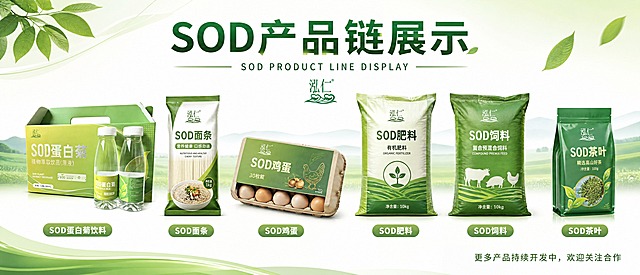 设计一幅SOD产品链展示长横幅，尺寸比例为高80cm x 宽460cm（超宽横版，约5.75:1比例）。

整体布局：从上到下，居中排列

【顶部标题区】
- 最顶行大字：SOD产品链展示
- 下方小字英文：SOD PRODUCT LINE DISPLAY
- 绿色主题，大气醒目

【产品展示区】（6款产品横向均匀排列，居中）
从左到右依次是：

1. SOD蛋白菊饮料：使用参考图中的饮料礼盒+两瓶产品的组合

2. SOD面条：生成1公斤装的袋装面条产品效果，包装袋上印有泓仁商标和SOD面条字样，绿色主调，食品包装风格

3. SOD鸡蛋：生成30枚装的盒装鸡蛋产品，纸盒包装，上面印有泓仁商标和SOD鸡蛋字样，绿色主调，蛋盒可以看到部分鸡蛋

4. SOD肥料：生成10公斤装的塑料编织袋肥料产品，编织袋上印有泓仁商标和SOD肥料字样，绿色主调，农业肥料包装风格

5. SOD饲料：生成10公斤装的塑料编织袋饲料产品，编织袋上印有泓仁商标和SOD饲料字样，绿色主调，饲料包装风格，可以有动物图案元素

6. SOD茶叶：生成100克塑料袋八角封装的茶叶产品，绿色包装袋，印有泓仁商标和SOD茶叶字样，茶叶包装风格

每款产品下方标注产品名称。

【底部文字区】
- 最下方靠右侧小字：更多产品持续开发中，欢迎关注合作

整体风格：绿色农业健康主题，清新自然，专业大气。白色或浅绿渐变背景。产品排列整齐，大小协调。4K高清。