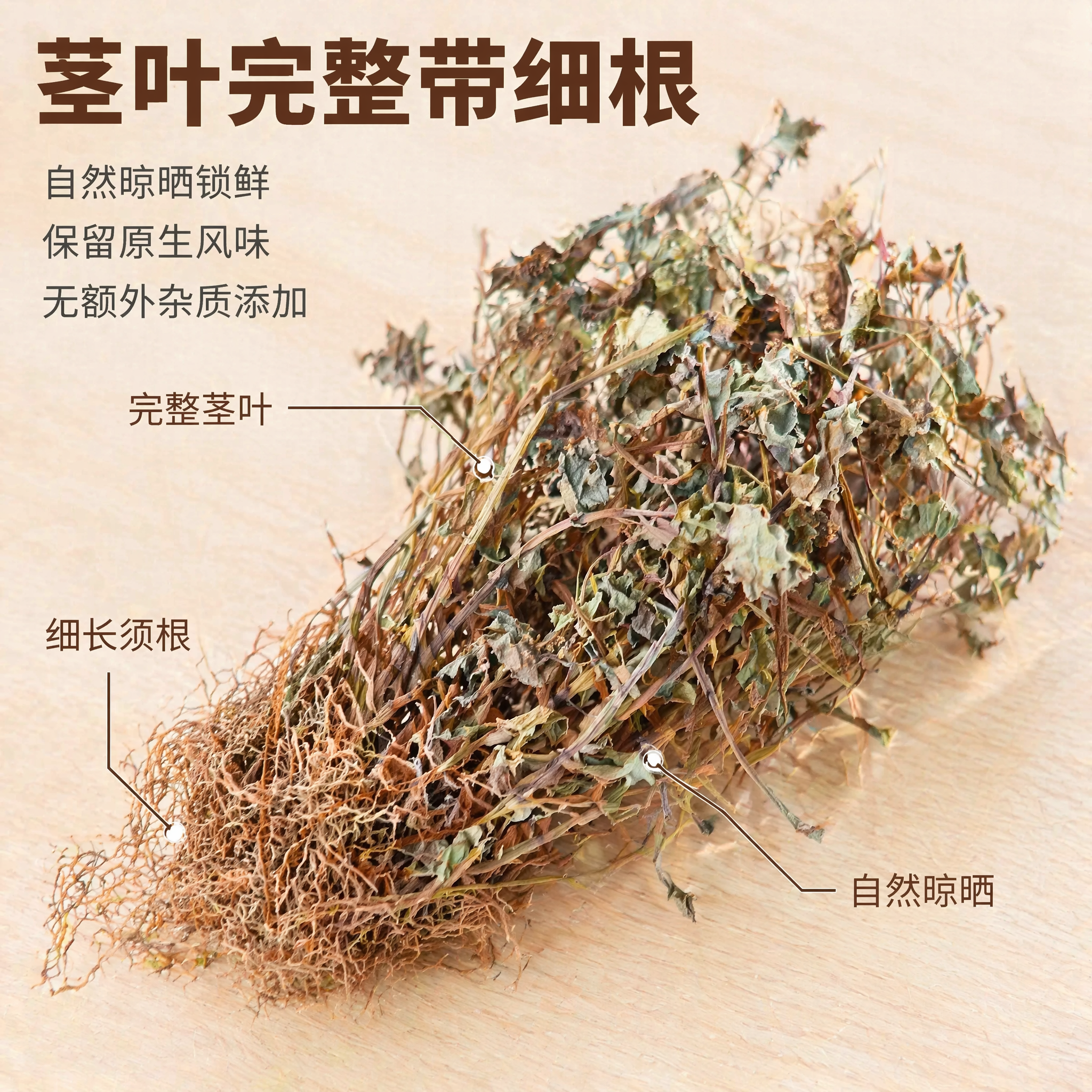 [主图-2] 核心卖点细节展示，突出茎叶完整带细根的产品优势。… - 图片创意预览