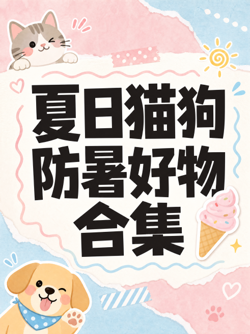 小红书好物推荐封面预览效果