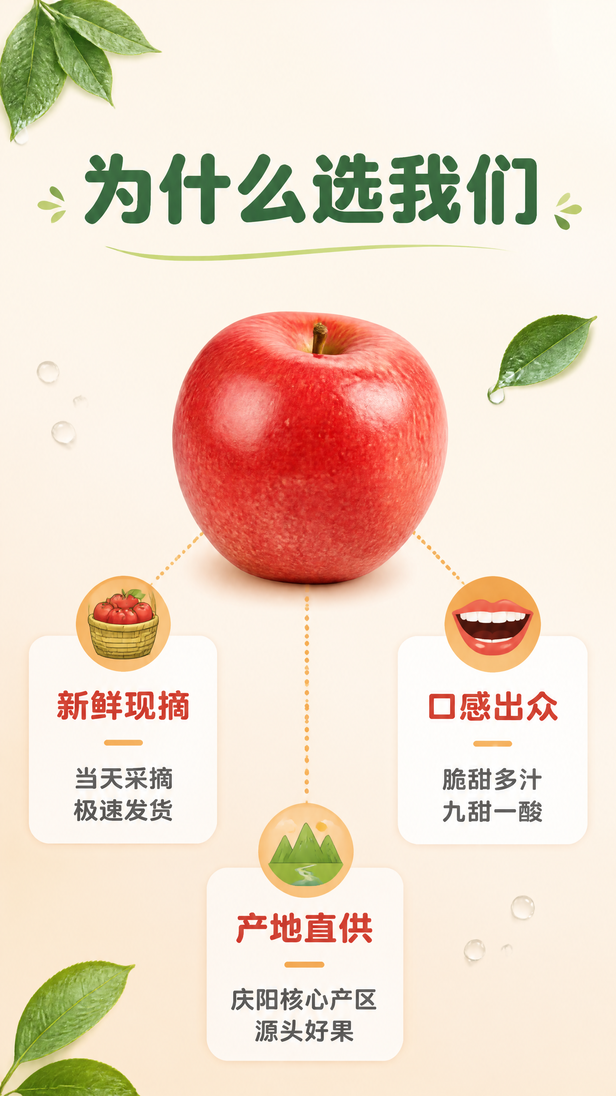 [第4张] 核心卖点拆解页-3大核心理由。本张使用【图1】作为… - 图片创意预览