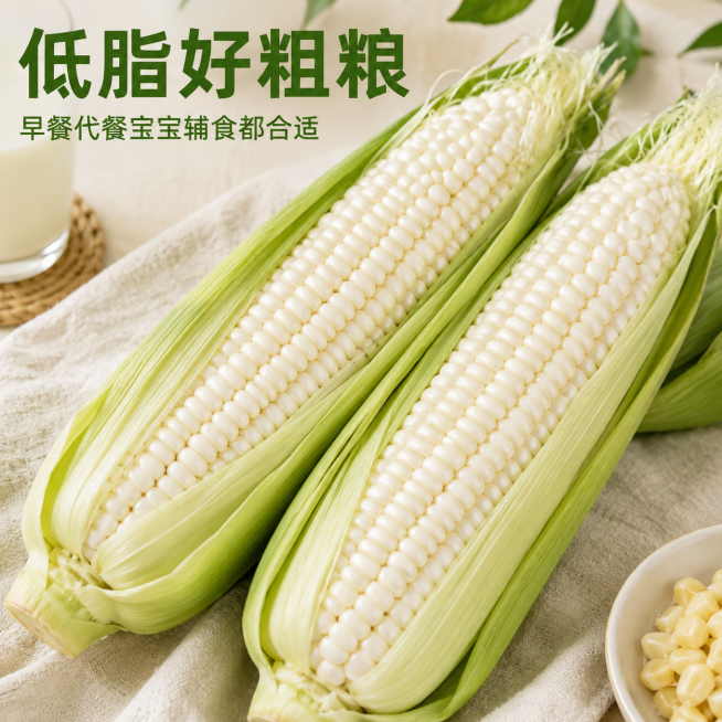 [主图-4] 展示白糯玉米食用场景，突出产品实用性
[氛围风格] 生活感，自然新鲜
[画质] 商业摄影质感，光线柔和通透，产品清晰真实，画面干净高级
[元素] 两根饱满的白糯玉米带翠绿苞叶，保持原图产预览效果