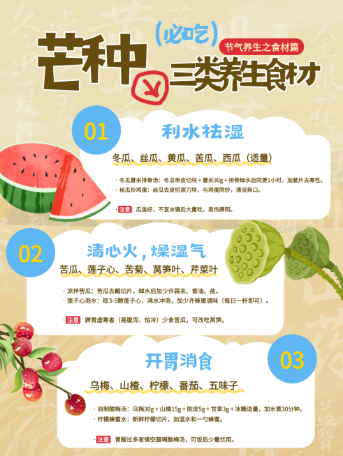 芒种节气养生饮食科普分享手绘插画风小红书配图预览效果