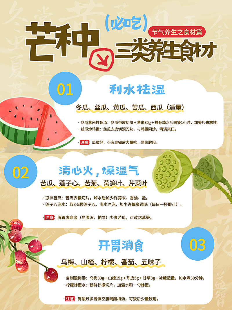 芒种节气养生饮食科普分享手绘插画风小红书配图