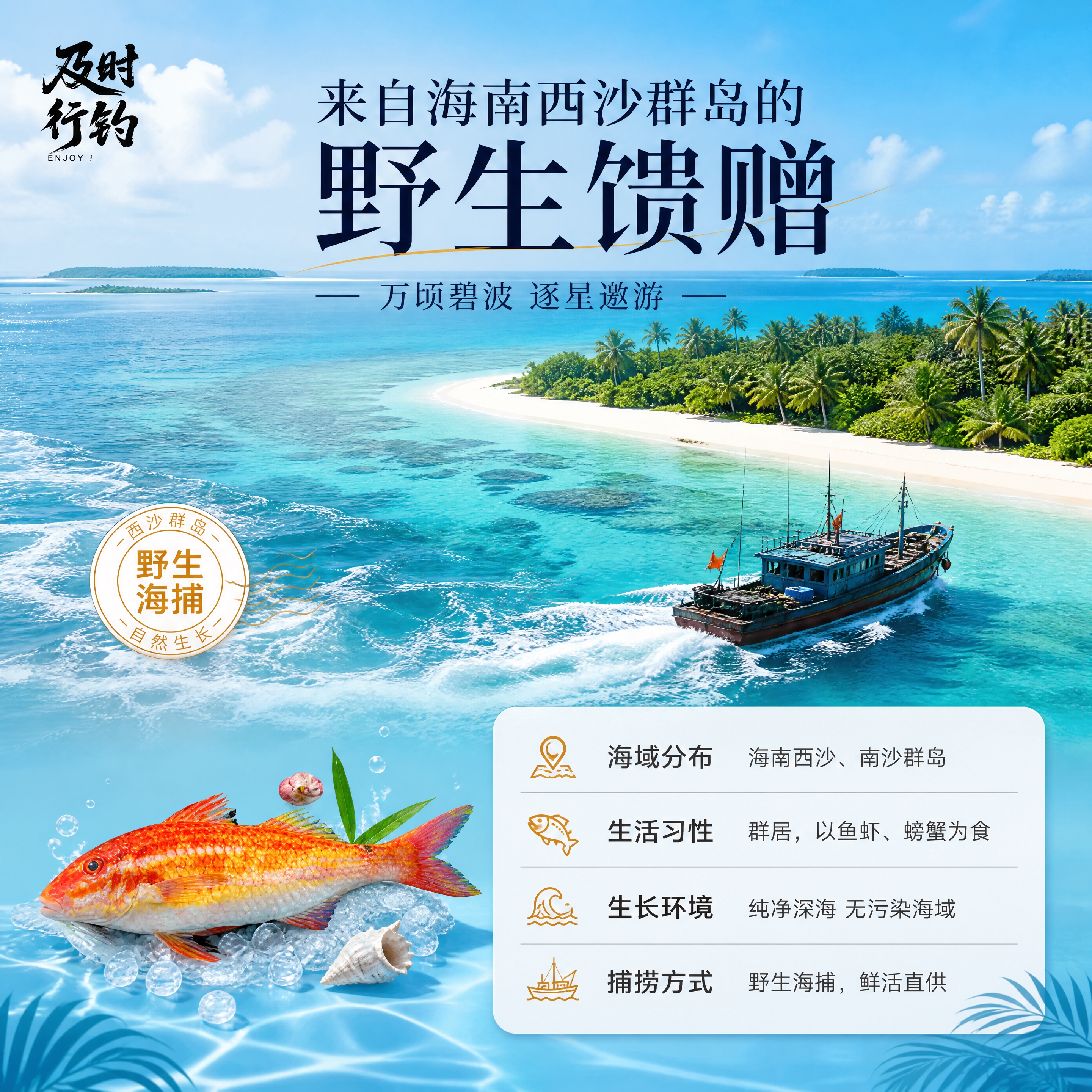 [商品] 使用【图1】野生海鲤；保留鱼身橙红黄渐变鳞片、彩色鱼… - 图片创意预览