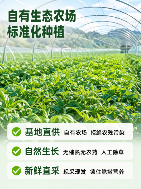 模块1：首屏黄金区——一句话抓住用户（对应你发的产品图）
 
核心目标：让用户一眼知道你是谁、卖什么、有什么好处
✅ 标题要打痛点+利益点，别写空话
 
- 反例：神仙菜，好吃又营养
- 推荐：【药食预览效果