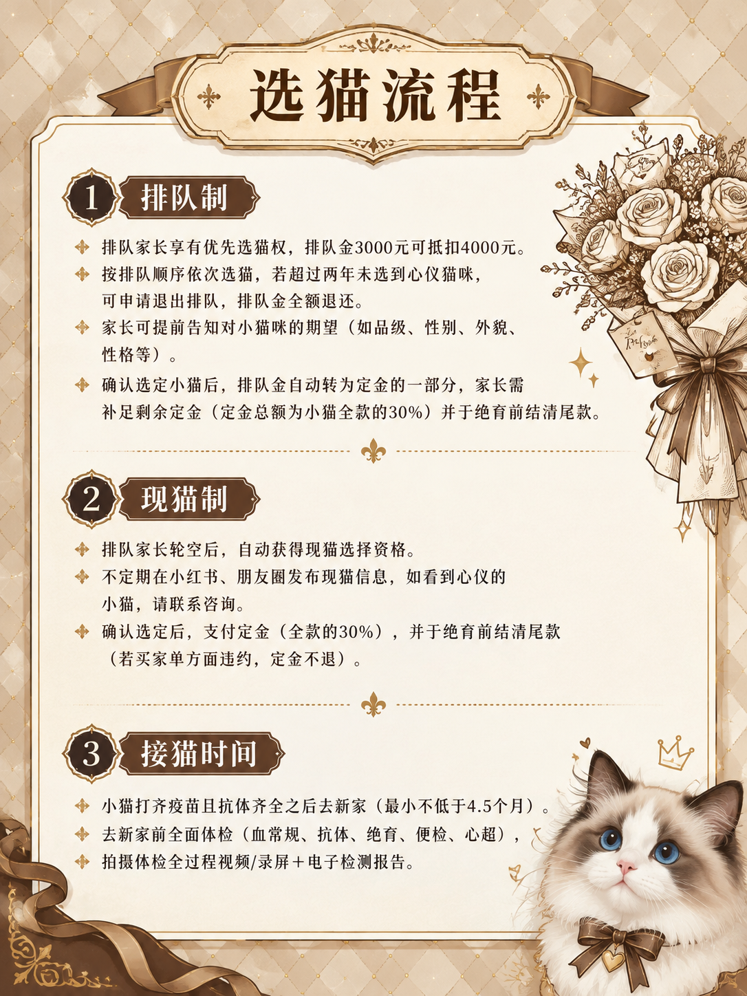 欧式复古轻奢风格选猫流程图，竖版3:4比例。米金色菱格纹理背景… - 图片创意预览
