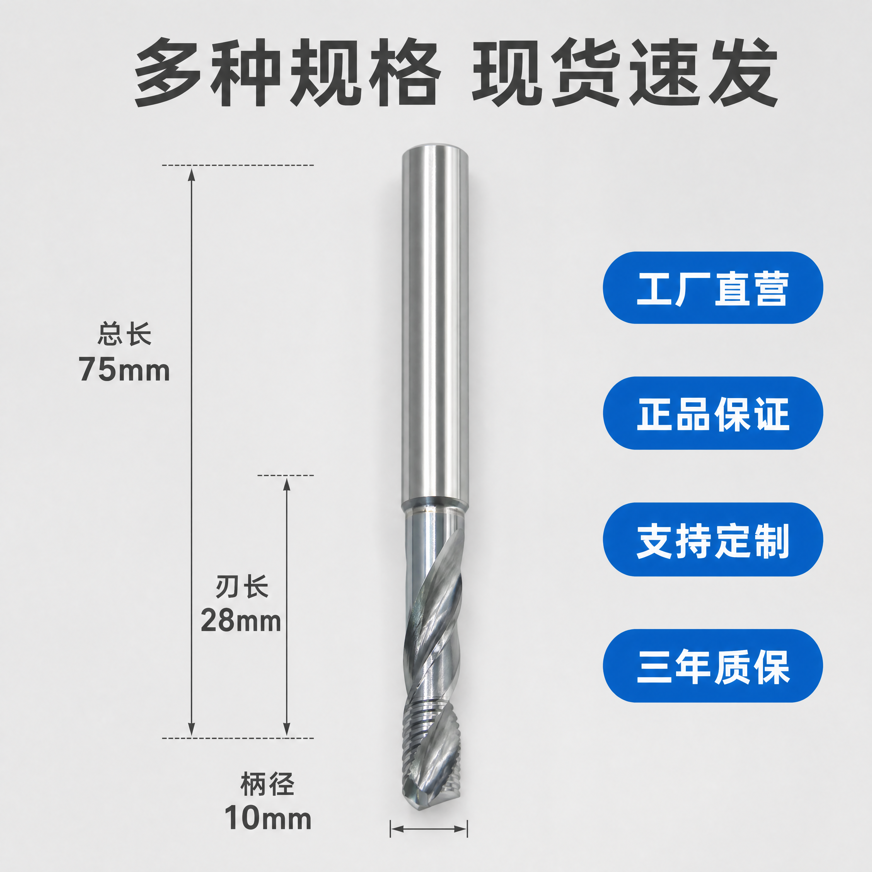 [主图-5] 规格与售后背书展示图 [氛围风格] 专业规整信息… - 图片创意预览