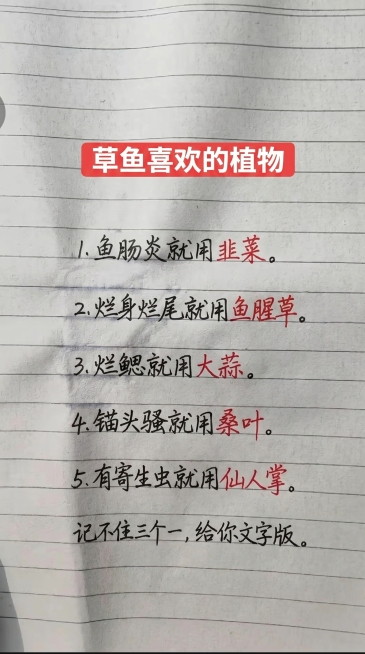 保留原图片的排版布局风格，顶部红底白字标题，内容部分使用黑色手写字体和红色手写字体，一字不差替换为新内容：标题：草鱼喜欢的植物
内容：
1. 鱼肠炎就用韭菜。
2. 烂身烂尾就用鱼腥草。
3. 烂鳃就预览效果